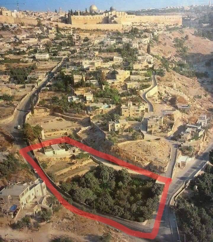 الأرض التي استولى مستوطنون عليها في واد حلوة