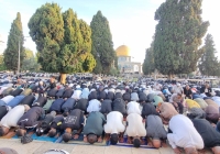 65 ألفا يؤدون الجمعة في المسجد الأقصى