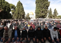 25 ألفا يؤدون صلاة الجمعة في المسجد الأقصى رغم إجراءات الاحتلال