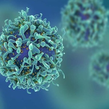 فكرة جديدة لعلاج السرطان عن طريق تثبيت الخلايا السرطانية في أماكنها