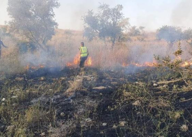 مستوطنون يحرقون محاصيل زراعية بمسافر يطا جنوب الخليل