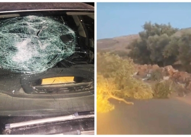 مستوطنون يعتدون على المواطنين ويقطعون 5 أشجار شرق رام الله