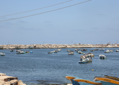 بحرية الاحتلال تعتقل 4 صيادين قبالة شاطئ رفح