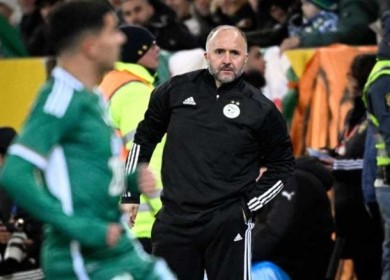 بلا حرج.. بلماضي يغلق آخر ملفاته قبل كأس أفريقيا