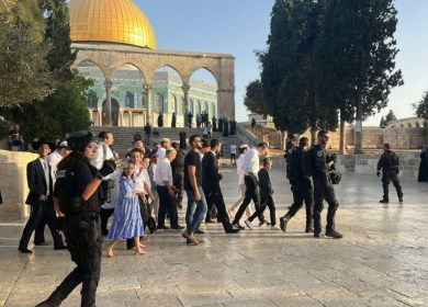 مستعمرون يقتحمون المسجد الأقصى المبارك