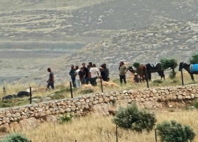 مستعمرون يهاجمون المواطنين قرب المغير شرق رام الله