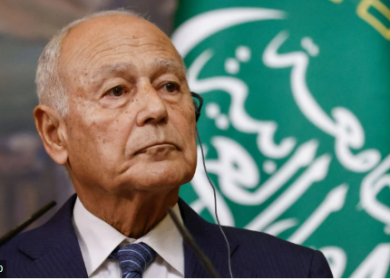 أبو الغيط: حل الدولتين هو العادل والوحيد للقضية الفلسطينية