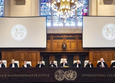 البرازيل تنضم لدعوى جنوب أفريقيا ضد إسرائيل أمام العدل الدولية