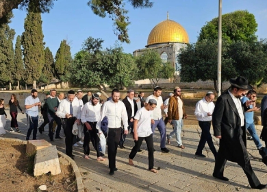 مستعمرون يقتحمون المسجد الأقصى ويؤدون طقوسا تلمودية أمام قبة الصخرة