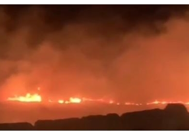 مستعمرون يعتدون على المواطنين ويحرقون أراضي زراعية في المسعودية شمال غرب نابلس