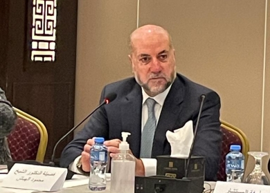 الهباش يشيد بخطاب شيخ الأزهر أمام مجلس الأمن