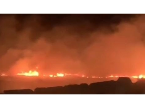 مستعمرون يعتدون على المواطنين ويحرقون أراضي زراعية في المسعودية شمال غرب نابلس