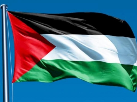 دعوة لرفع العلم الفلسطيني في الولايات الأميركية