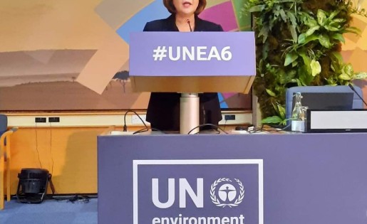 التميمي تشارك في الاجتماع السادس لجمعية الأمم المتحدة للبيئة