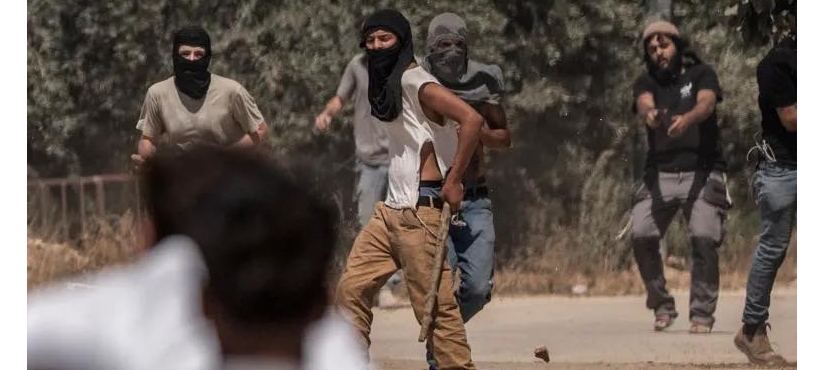 مستعمرون يحرقون أراضي ومركبات ويعتدون على منازل في جيت شرق قلقيلية